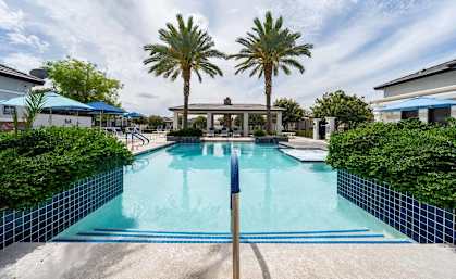 A swimming pool surrounded by palm trees and a blue sky.