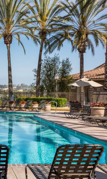 a pool with chairs and palm trees in the background