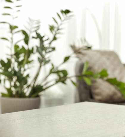 a table in a living room with a couch and plants