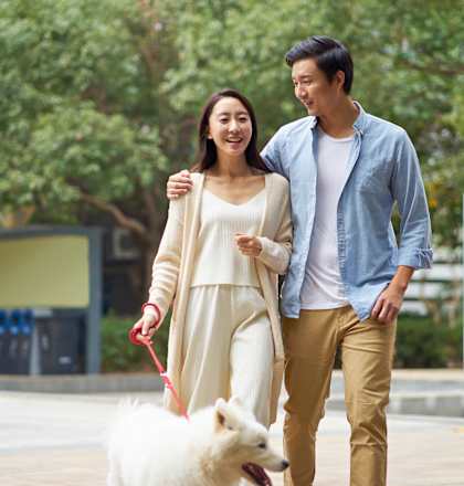 Couple Walking a Dog Outside on a Sunny Day in Urban Area with Trees at Country Woods, Utah