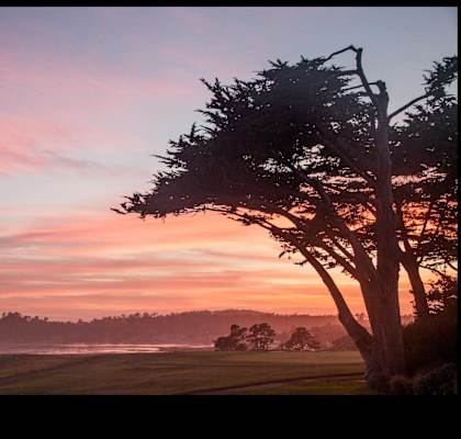 A tree stands in the foreground of a landscape at sunset.