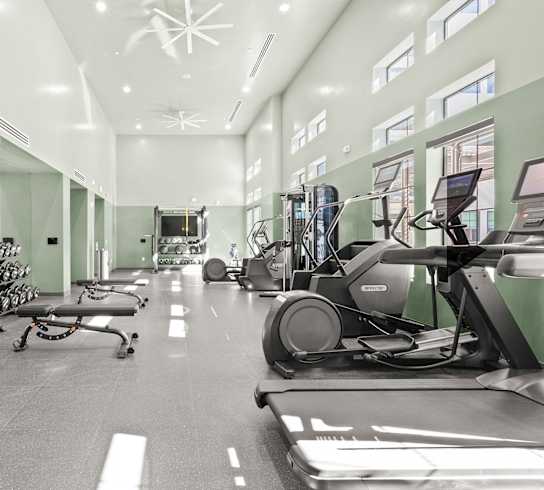 A gym with treadmills, exercise bikes, and other equipment.