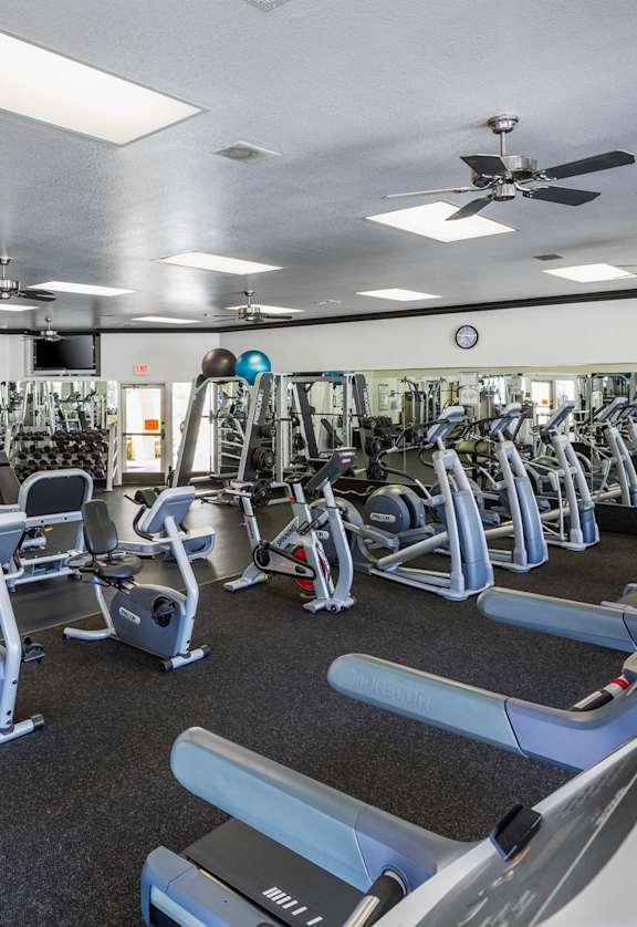 a large fitness room with cardio equipment and weights