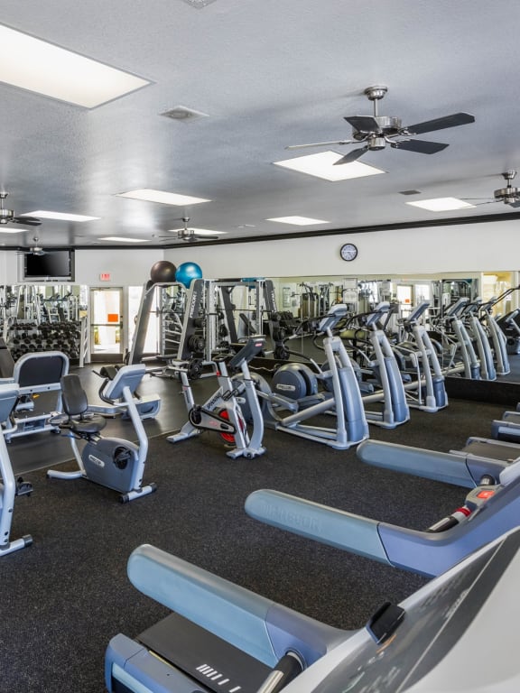 a large fitness room with cardio equipment and weights