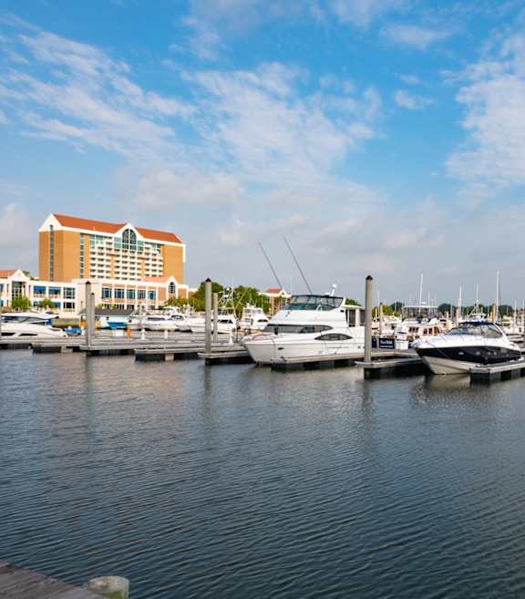 A marina with boats docked and a building in the background.