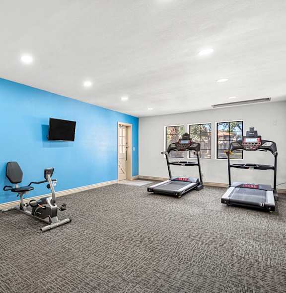 A gym with treadmills, a bench, and a weight machine.