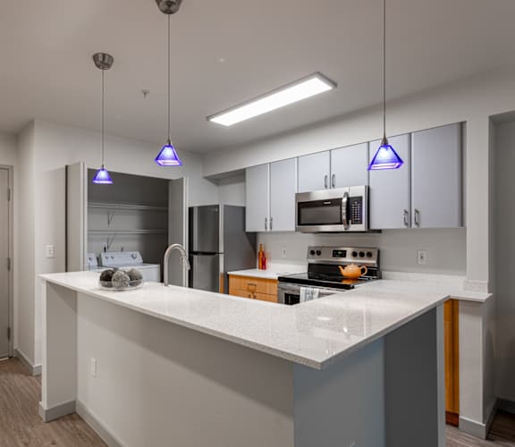 Renovated Kitchen, Stainless Steel Appliances, Full-Size Washer/Dryer