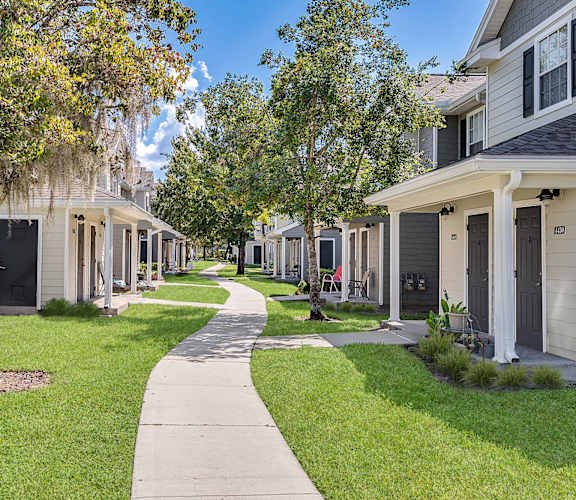 a sidewalk lined with trees in front of a row of houses