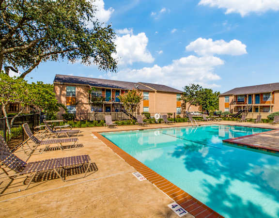 A swimming pool surrounded by sun loungers and trees.