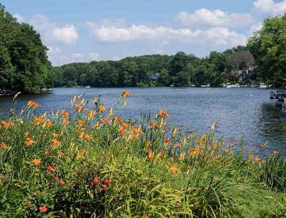 A lake surrounded by greenery and trees with flowers in the foreground.