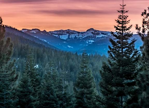 Sagecliff Apartments Mountain Range and Forest
