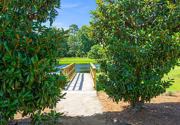 A bridge made of wood and concrete is seen through the leaves of a tree.