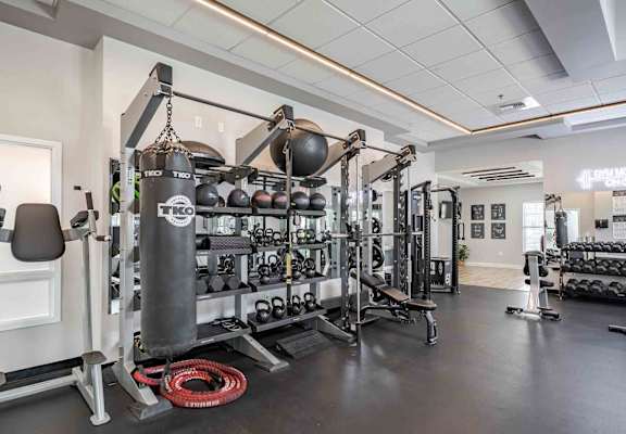 A gym with a punching bag and weights.