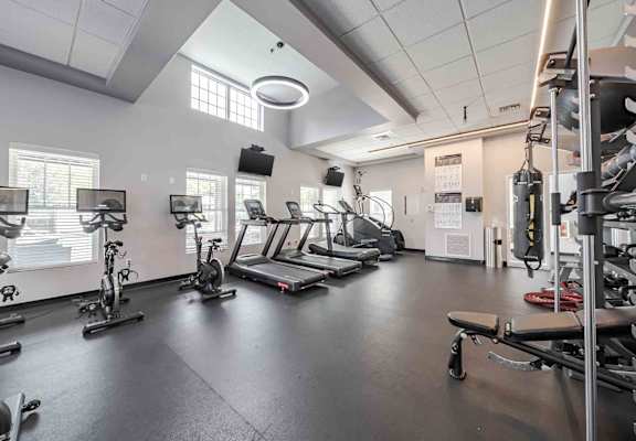A gym with a variety of exercise equipment including treadmills, stationary bikes, and weight machines.