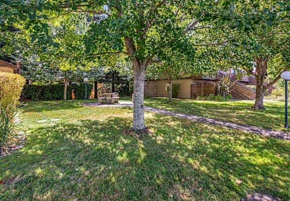 Mature Trees at Edgewood Apartments, California, 94928