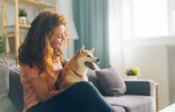 A woman is sitting on a couch with a Shiba Inu dog.