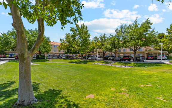 Mountain views at Somerset Village Apartments in Kingman AZ 2021