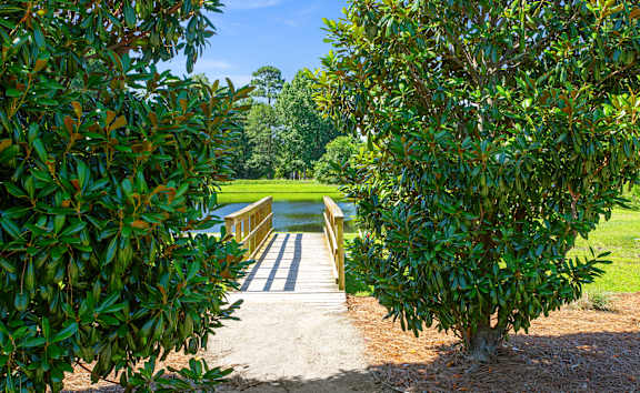 A bridge made of wood and concrete is seen through the leaves of a tree.