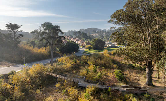 A scenic view of a road winding through a forested area with a clear blue sky above.