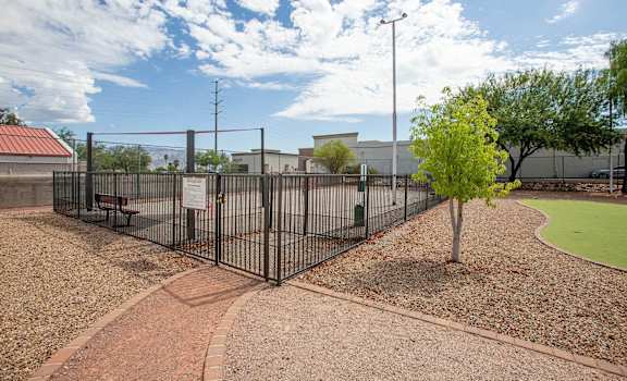 a fenced in area with a tennis court and a tree