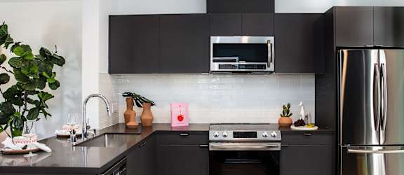 A modern kitchen with black cabinets and stainless steel appliances.