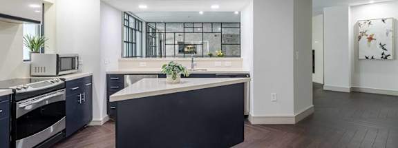 Kitchen at The Ren Apartments in Brookhaven, Atlanta, GA