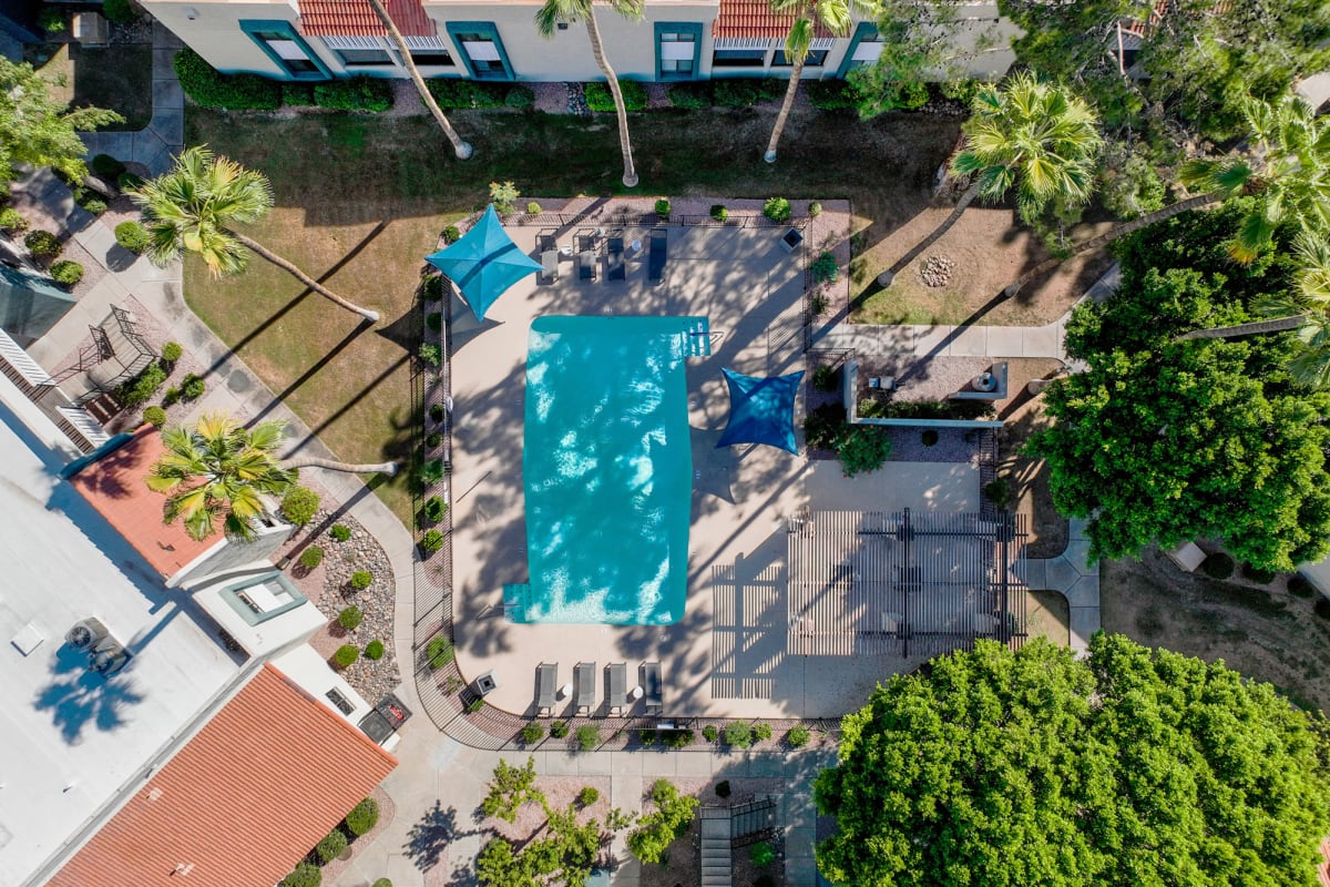 Aerial view of the pool at Oakridge Apartments.