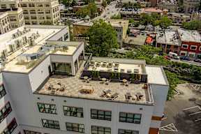 A modern building with a green roof is surrounded by other buildings.