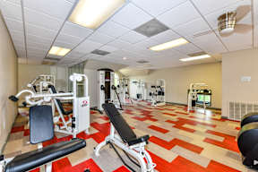 A gym with a variety of equipment including a leg press machine, a chest press machine, and a leg curl machine at Park at Forest Hill Apartments, Memphis, 38125
