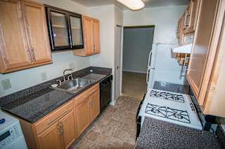 Oakton Park Two Bedroom With Den 2A Kitchen 06