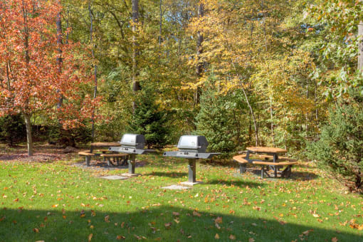 Picnic Area at Huntington Townhomes in Shelton, CT
