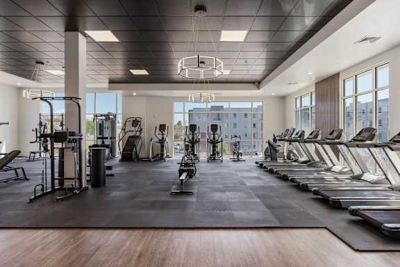A spacious gym with a variety of equipment including treadmills, weights, and exercise machines. 605 Place Student Housing & Co-Living, St George, UT