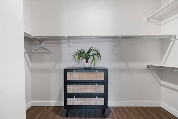 A black shelf with a plant on it.