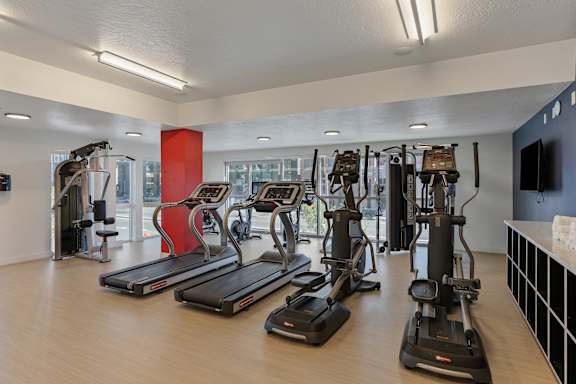 A gym with treadmills, elliptical machines, and other exercise equipment.