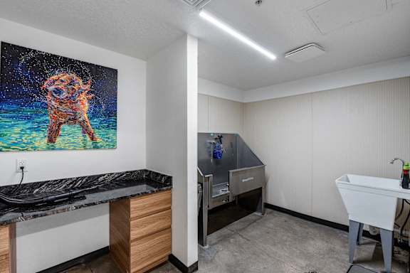 Pet Grooming Station at The Flats at Riverwoods, Utah
