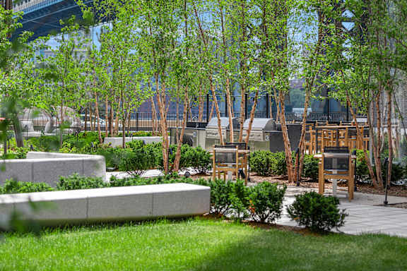 a garden outside a building with trees and benches