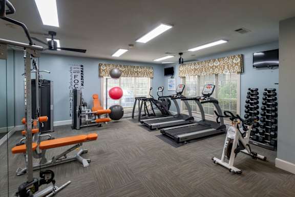 A well-equipped gym with treadmills, weights, and exercise balls.