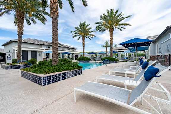 A poolside area with sun loungers and palm trees.
