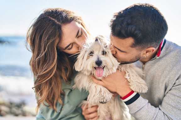 a dog resting on someone's chest at Townhomes at Gateway, Bensalem, Pennsylvania