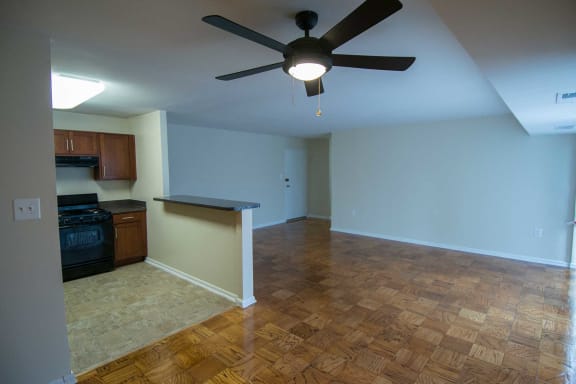 Silver Spring House Apartments Ceiling Fan