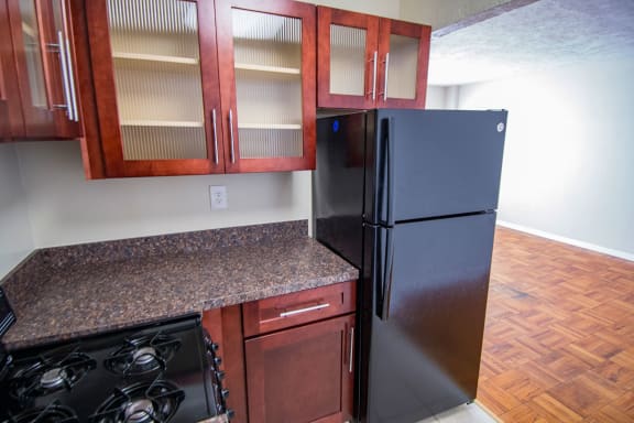 Capital Plaza Apartments Studio One Kitchen 06