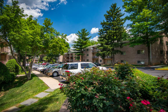 Spring Ridge Apartments Parking 1