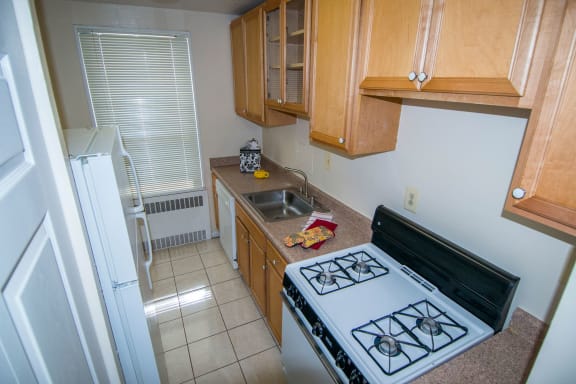 Steward Tower One Bedroom Kitchen 01