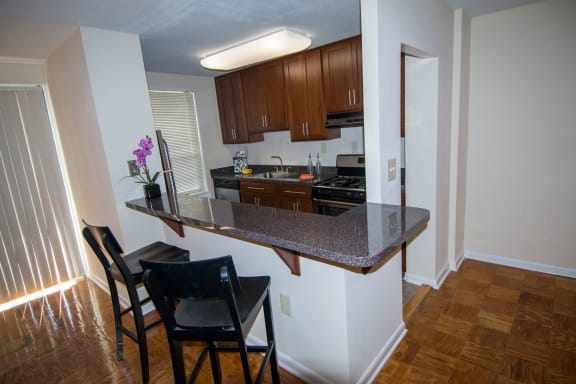 Steward Tower One Bedroom Breakfast Bar