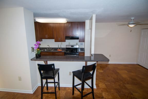 Steward Tower One Bedroom Breakfast Bar 3