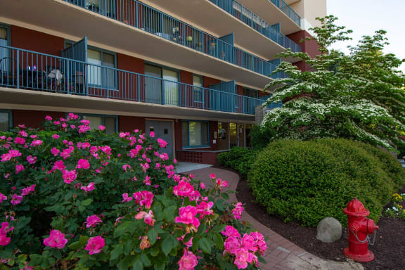 Steward Tower Apartments Balconies