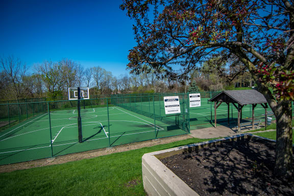 Carriage Park Apartments Basketball Courts