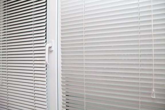 vertical blinds