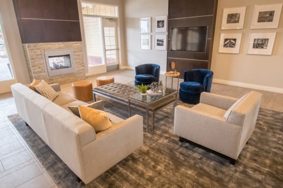 Clubhouse Living with couch at Skye at Arbor Lakes Apartments, Minnesota, 34105