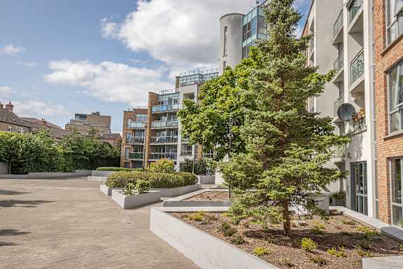 a courtyard with a tree in front of a building
